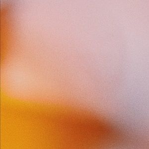 Meet your Posher, Darcy